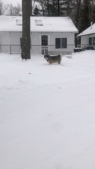 Friday December 12, Let me clearly state to you and all the people of Israel