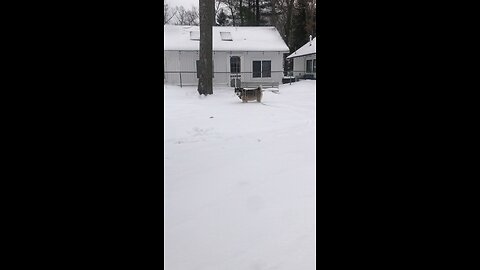 Friday December 12, Let me clearly state to you and all the people of Israel