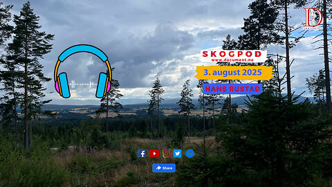 Skogpod 3. august 2025