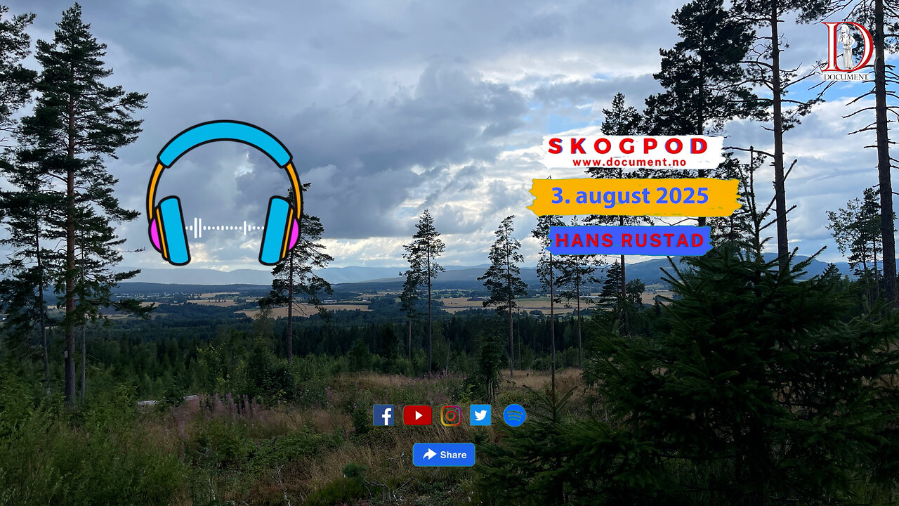 Skogpod 3. august 2025