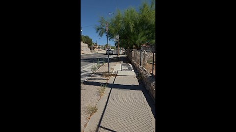 Daily Walk