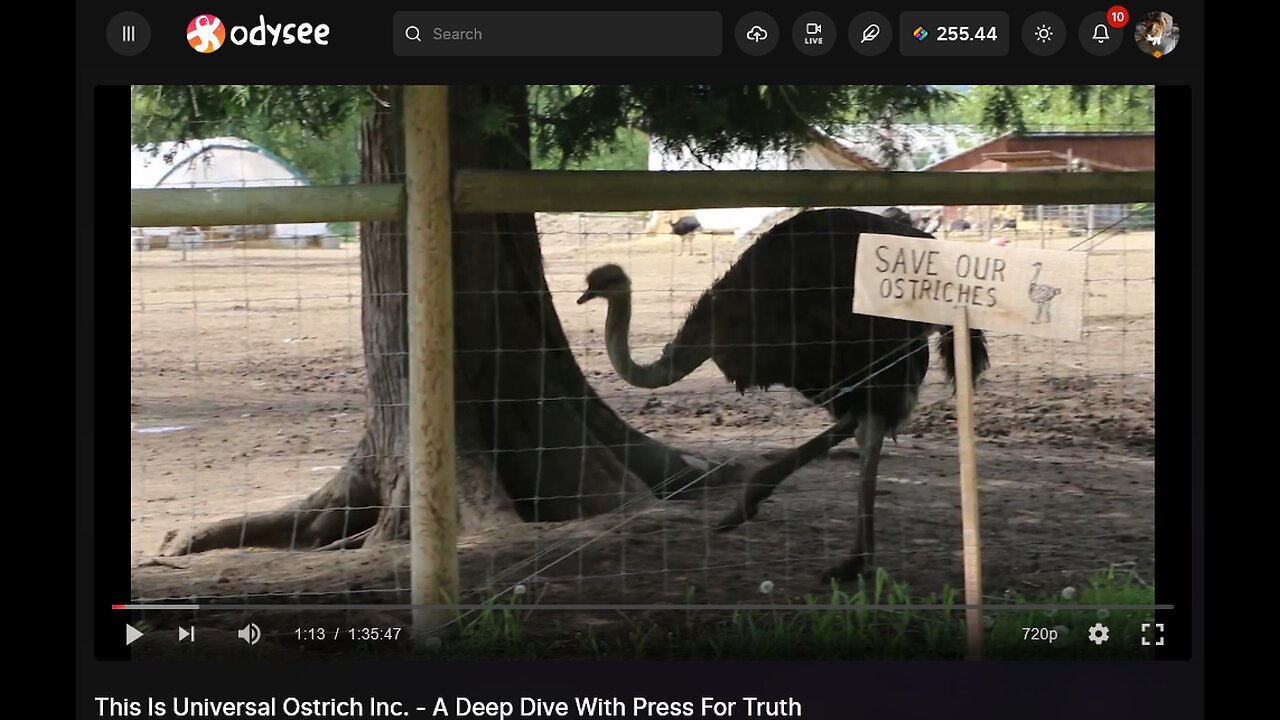 SAVE THE OSTRICHES - PRESS FOR TRUTH