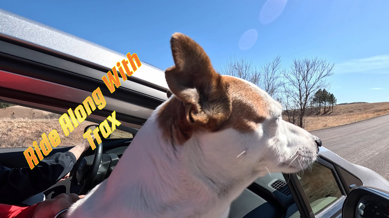 Ride Along With Trax
