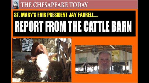 REPORT FROM THE CATTLE BARN