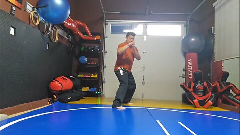 WTD Crescento Kick to Hook Kick sequential