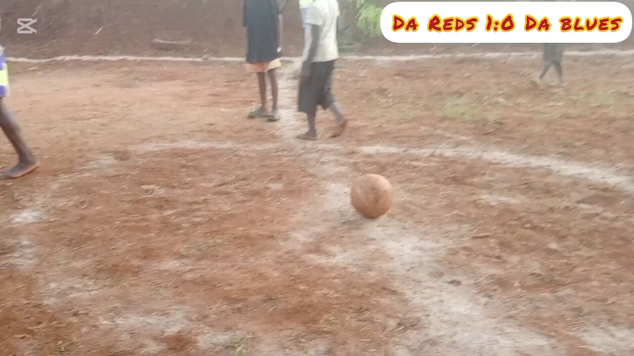 THE REDS vs BLUES