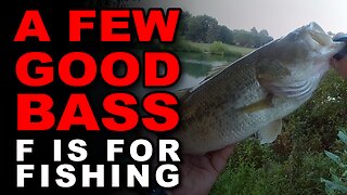 A Few Good Bass