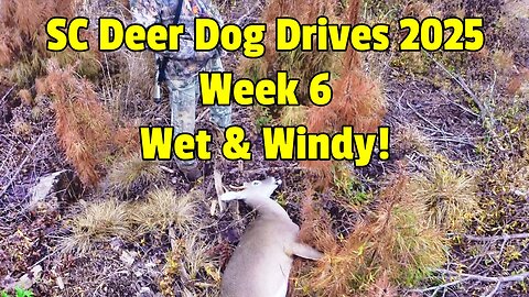 SC Deer Dog Drives 2025! Week 5...
