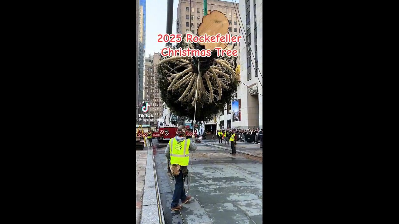 The 2025 Rockefeller Christmas Tree