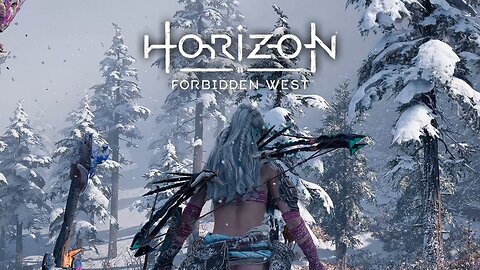 Horizon Forbidden West: Aloy - Oseram Lite Frozen Wilds Alt Outfit