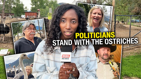 B.C. MLAs speak out about Canada's kill mission for healthy ostriches