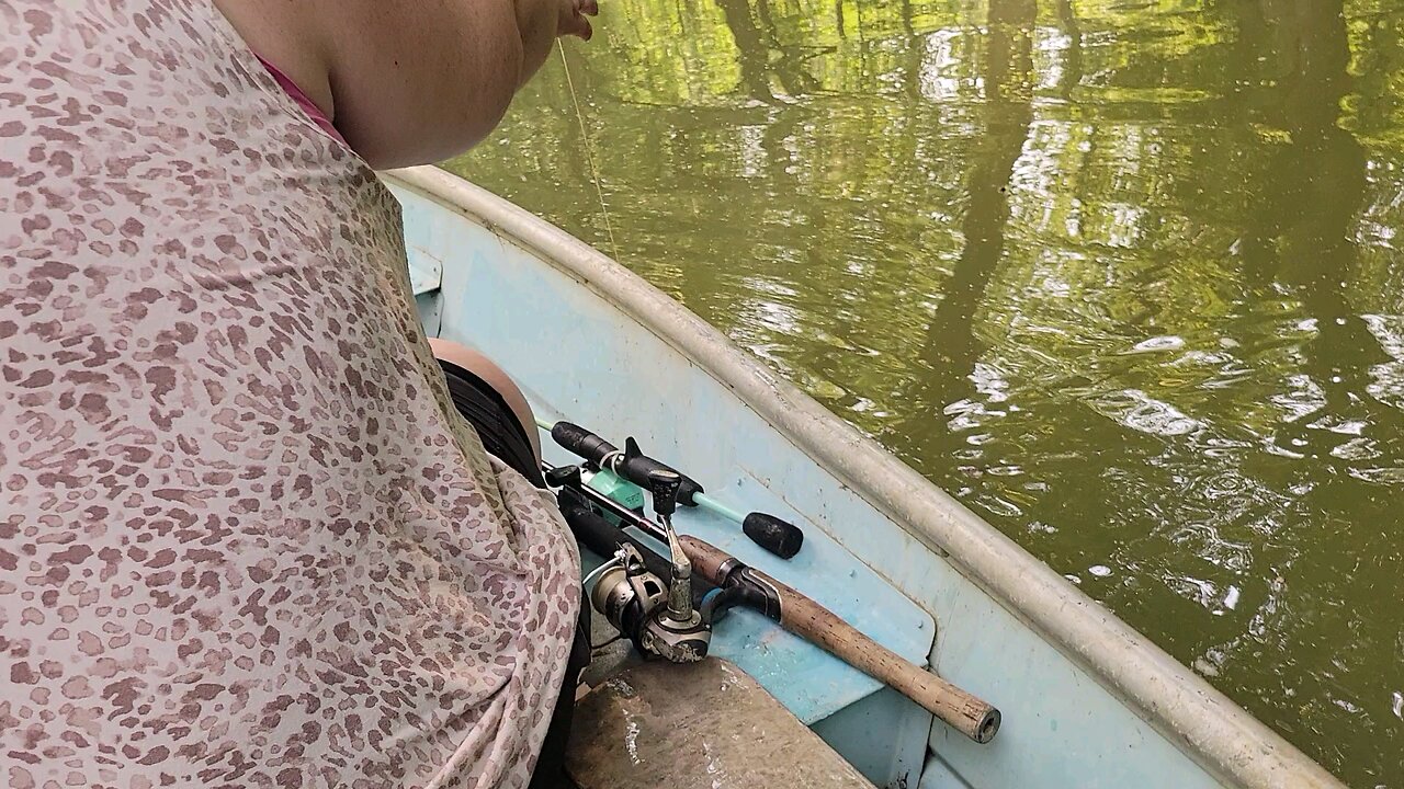 Checking the Limb Lines