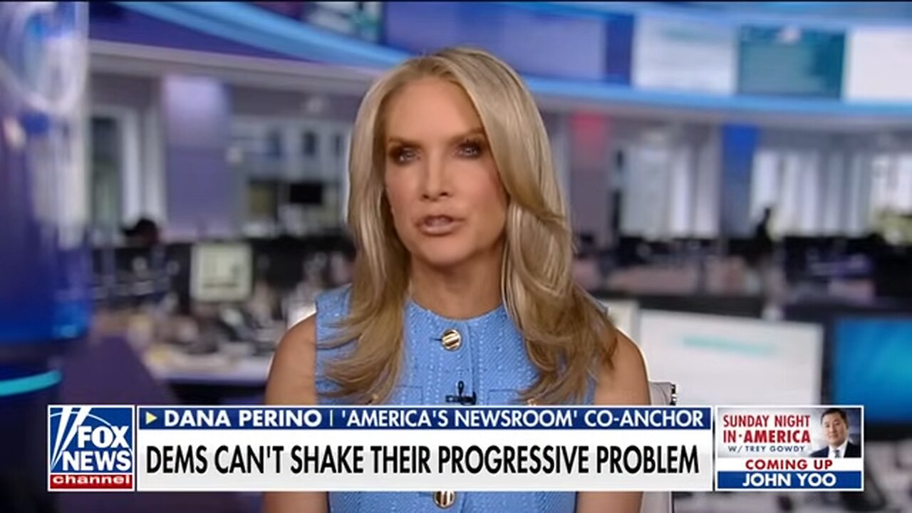 Dana Perino: Democrats have a big problem