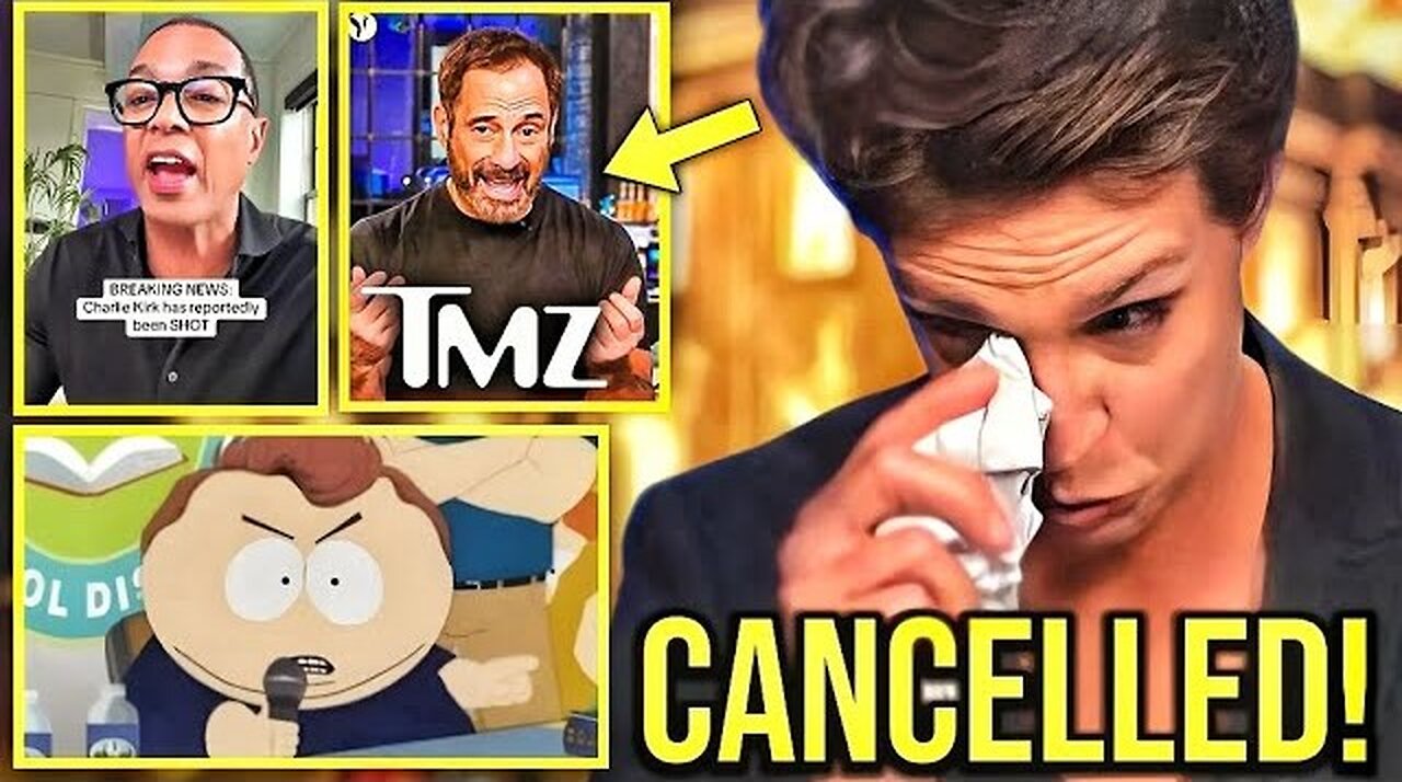 Democrats Are Getting FIRED & CANCELLED Everywhere!