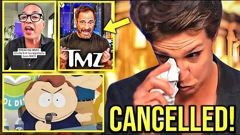 Democrats Are Getting FIRED & CANCELLED Everywhere!