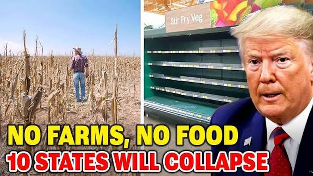 Warning US Agriculture system food supply is collapsing failure with Joe Maxwell