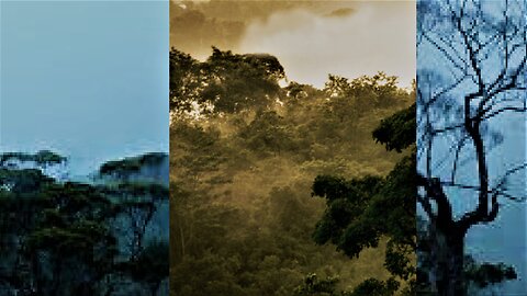 Over Sri Lanka when in transit