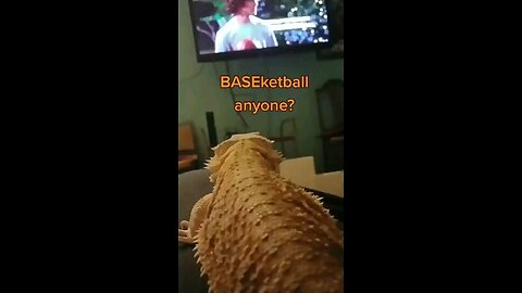 BASEketball anyone?