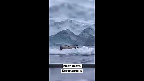 Near_Death_Experience😳