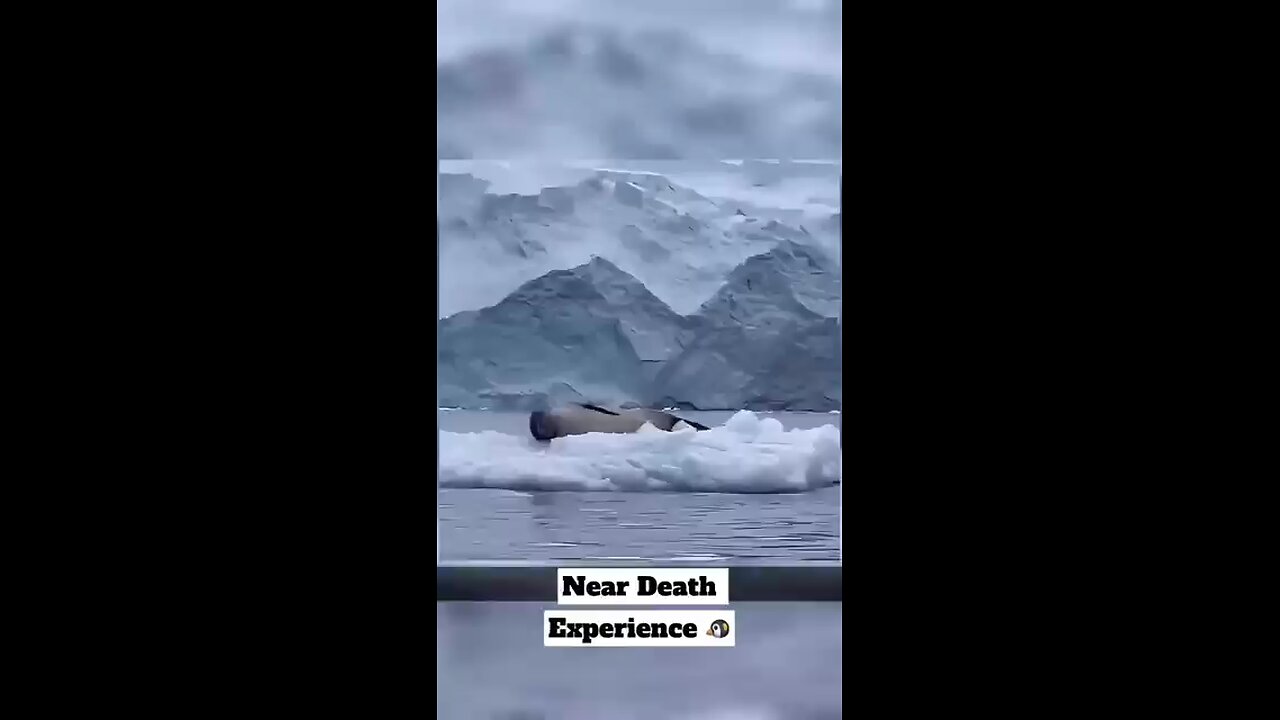 Near_Death_Experience😳