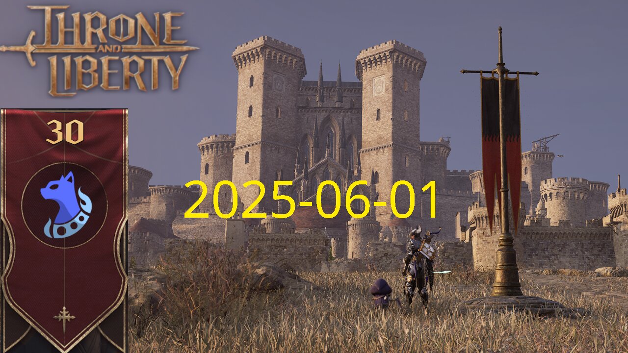 Defending Stonegard Siege Warfare 2025-06-01 (Polarity on Carnage) - Throne and Liberty