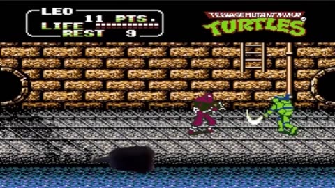 The Unlikely Collaboration Between Montez and the Teenage Mutant Ninja Turtles (Sidescrollers Plus)