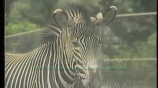 @ Kidsongs: A Day With The Animals