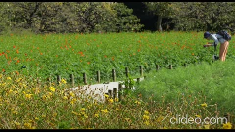 Gardening SEO Consultant in New Delhi