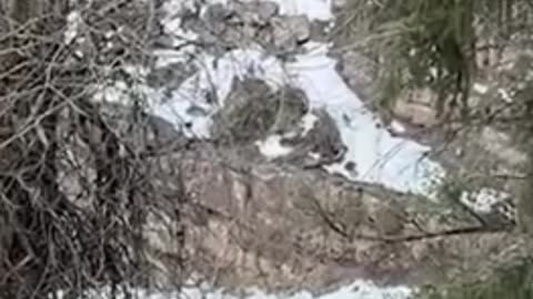 Ivanka Trump shares glimpse into New Year celebrations with family