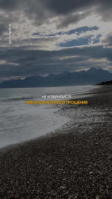 Не извиняйся - никогда не проси прощения @tompitai ​