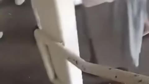 Leaked Video - Whole Negro Jail Takes Flight on An Inmate — Madness Behind Bars!