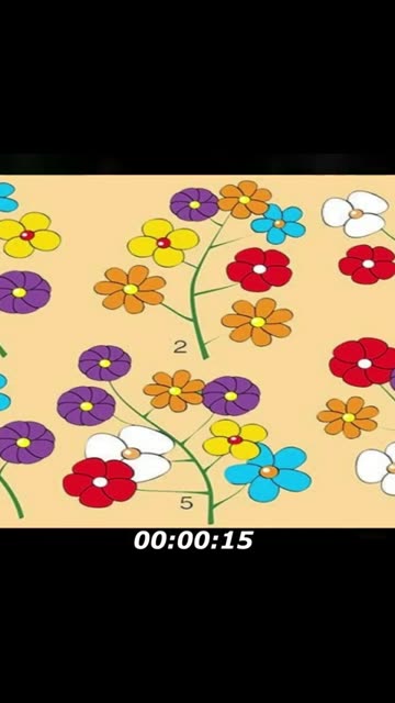 Flower branch puzzle: Which flower branch is differently? Look carefully and count it
