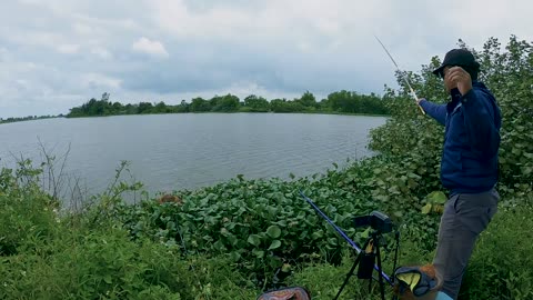 Zander im Morgenlicht Der große Fang #Zanderangeln #Fischjagd #Naturpur