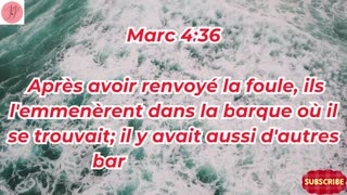 « Les paraboles du Royaume et Jésus maître de la tempête » Marc 4:1-41.#shortvideo #ytshorts #reels