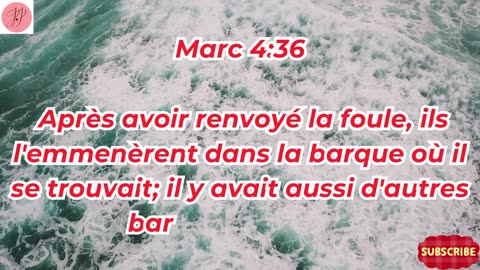 « Les paraboles du Royaume et Jésus maître de la tempête » Marc 4:1-41.#shortvideo #ytshorts #reels
