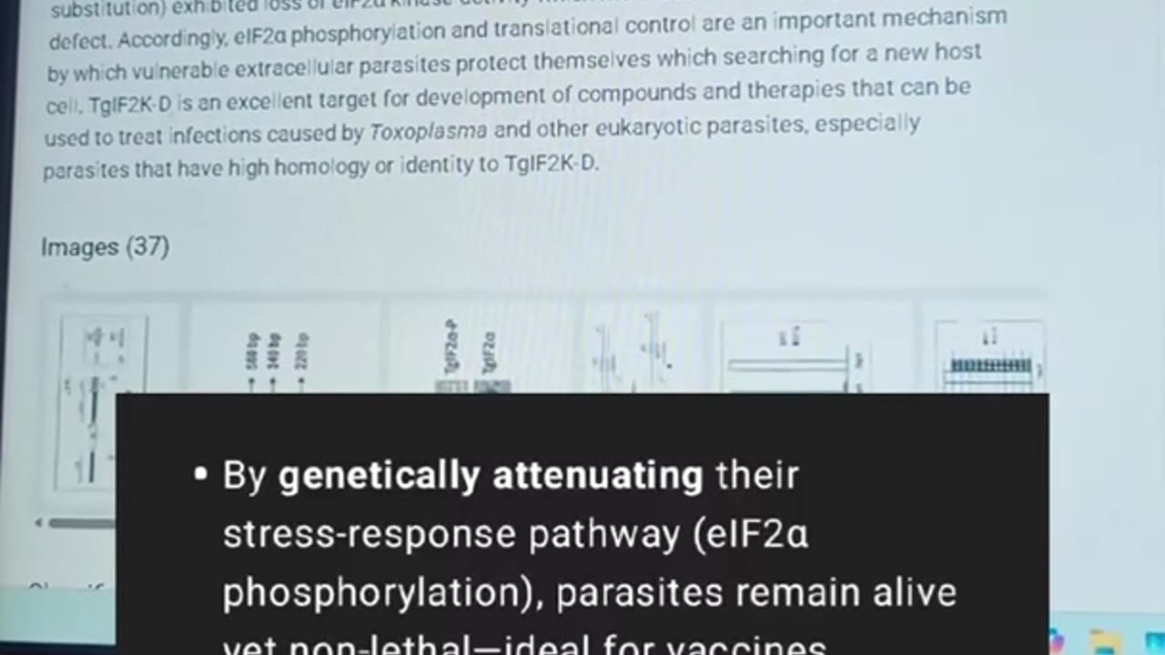Mutant Parasites For Use As Vaccines And By Platforms Screening for Compounds