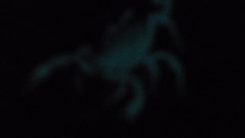 A blurry glowing scorpion