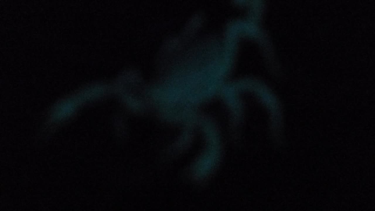 A blurry glowing scorpion