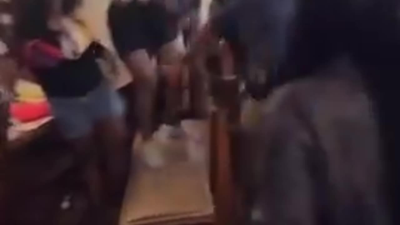 You cant fix these people