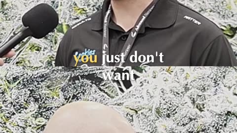 Conquer Entrepreneurial Fear - Eat That Frog!