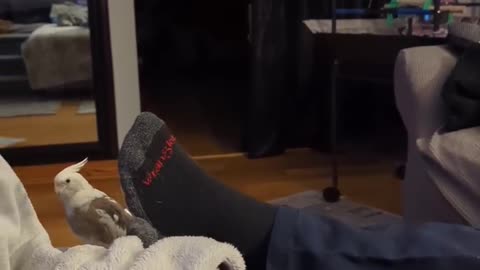He Just Wants His Momma