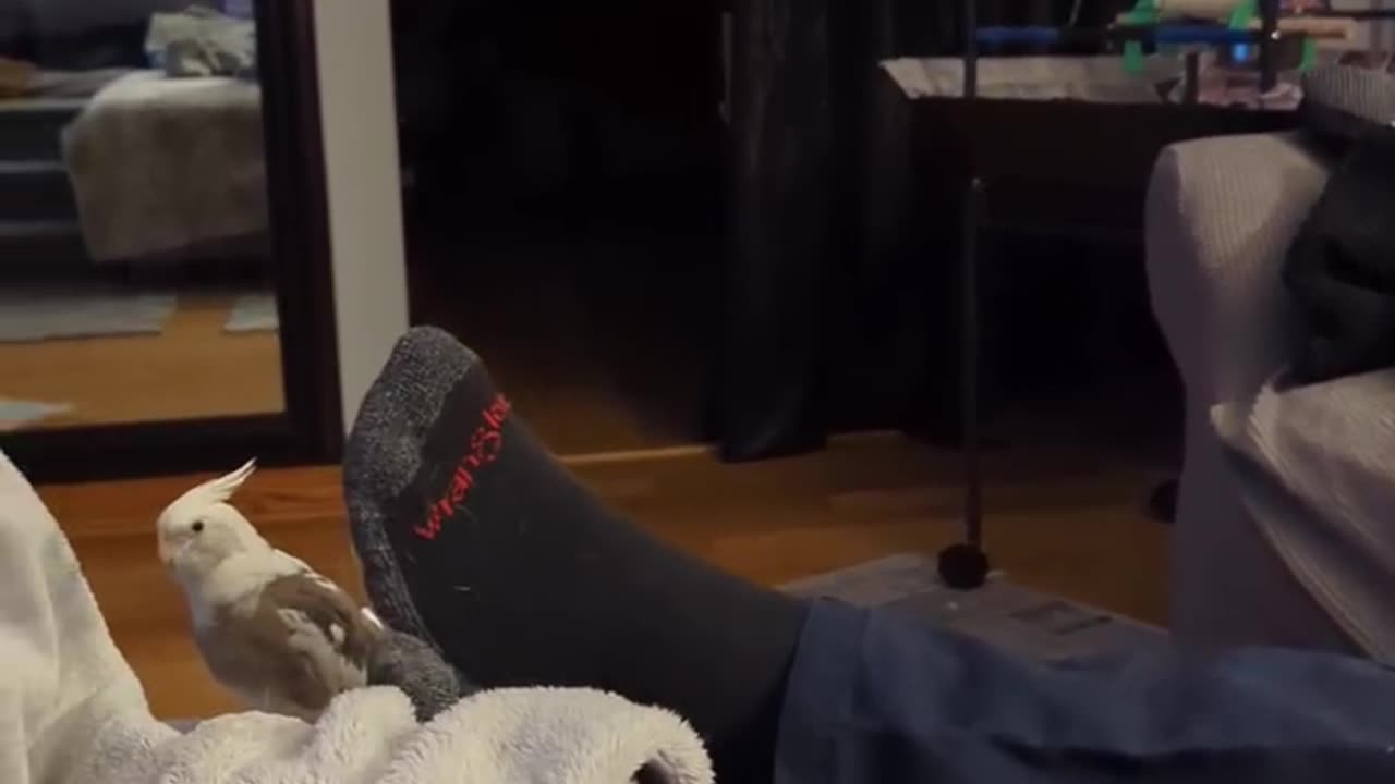 He Just Wants His Momma