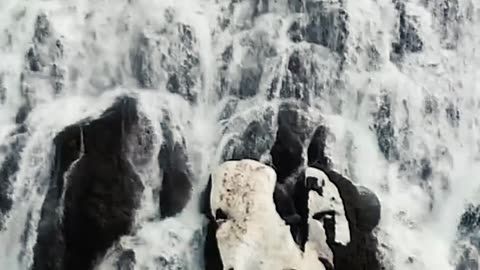 Cold showers are overrated. #health #healthy #healthadvice #reels #shorts