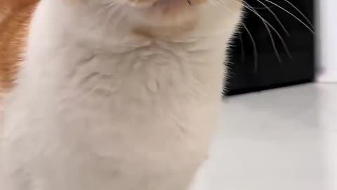 Don't touch me 😤