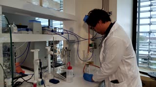 Could this fungus help tackle the plastic waste crisis?