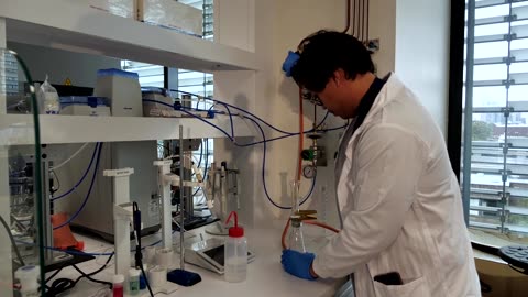 Could this fungus help tackle the plastic waste crisis?