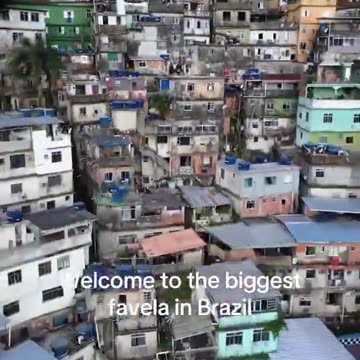 Welcome to diversity