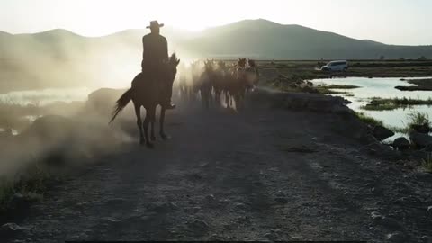 Daily Horoscope | Pisces 🌟