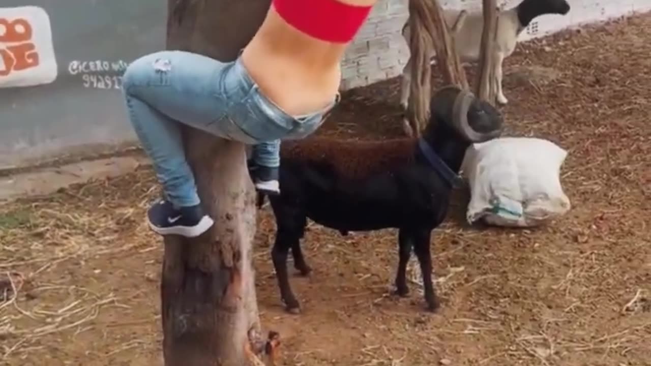 They're crushing my ass. 😜 😂 😂