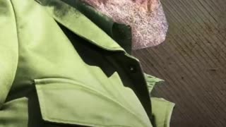 CASTRO: AFRICA’S HERO